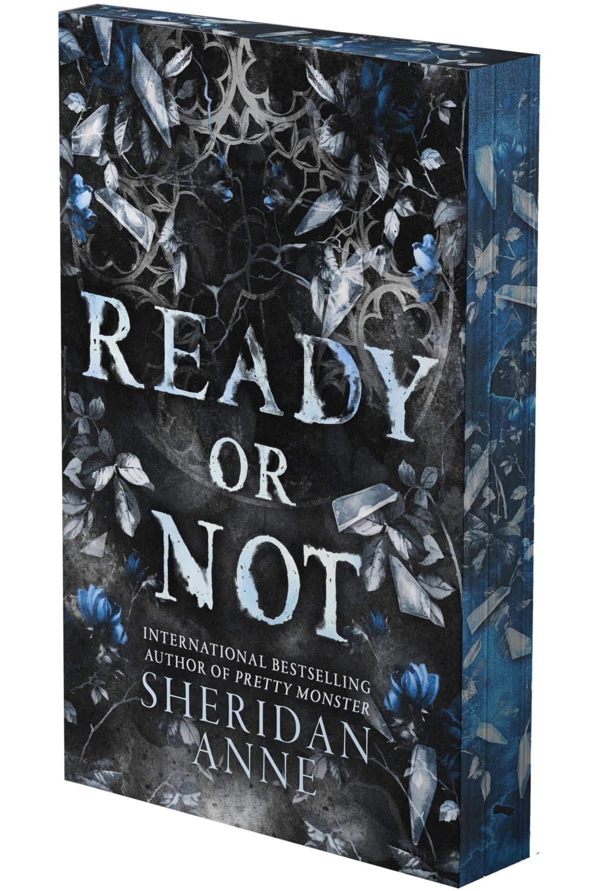 Ready Or Not: A Dark Romance