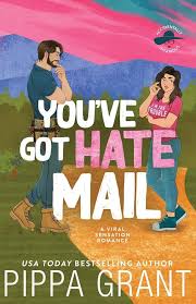 You've Got Hate Mail: A Viral Sensation Romance